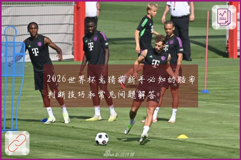 2026世界杯竞猜前新手必知的赔率判断技巧和常见问题解答